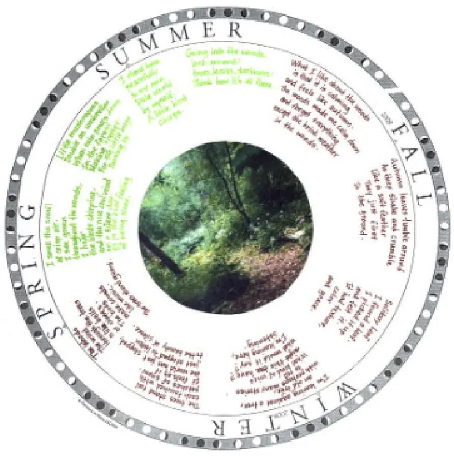 A phenology wheel by the seasons