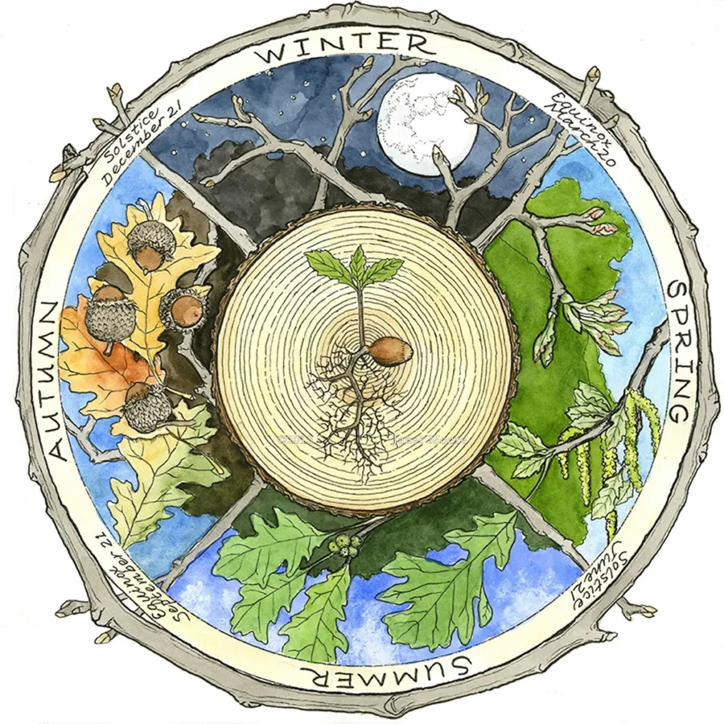 An example of a wheel featuring the lifecycle of a tree by artist Janet Moore.